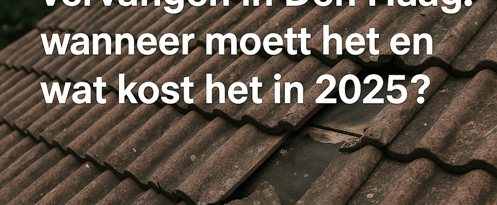 Dakpannen vervangen in Den Haag door beschadigde dakpannen – Rijgersberg Dakwerken